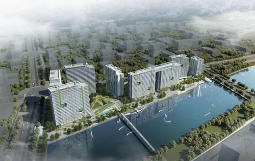 深圳近期樓市動態(tài) 會展灣水岸公寓銷售火爆，興辦實業(yè)熱潮助推房價
