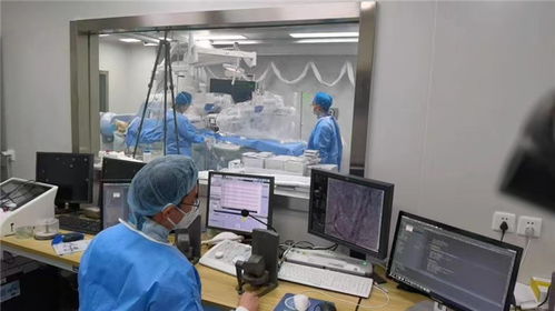 科技前沿新突破 我國首例自主研發(fā)介入式腦機(jī)接口完成動(dòng)物試驗(yàn)