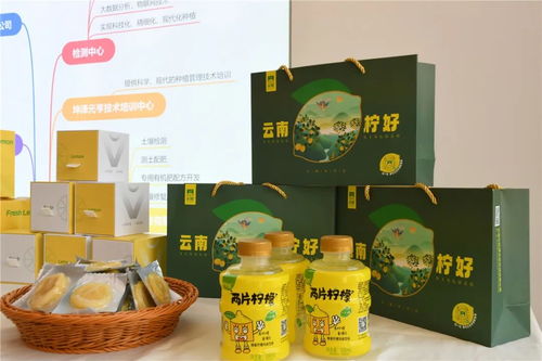 活力永勝丨麗江永勝 檸檬里的百億產(chǎn)業(yè)夢