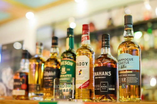 收,來(lái)自遠(yuǎn)方翡翠綠島的海鮮投喂