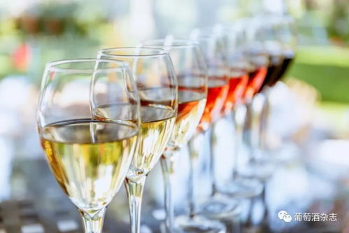 酒類批發(fā)新路徑 B2B電商平臺月銷近百萬的葡萄酒進(jìn)貨渠道